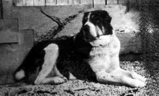 Ala - Poč¾von1.jpg