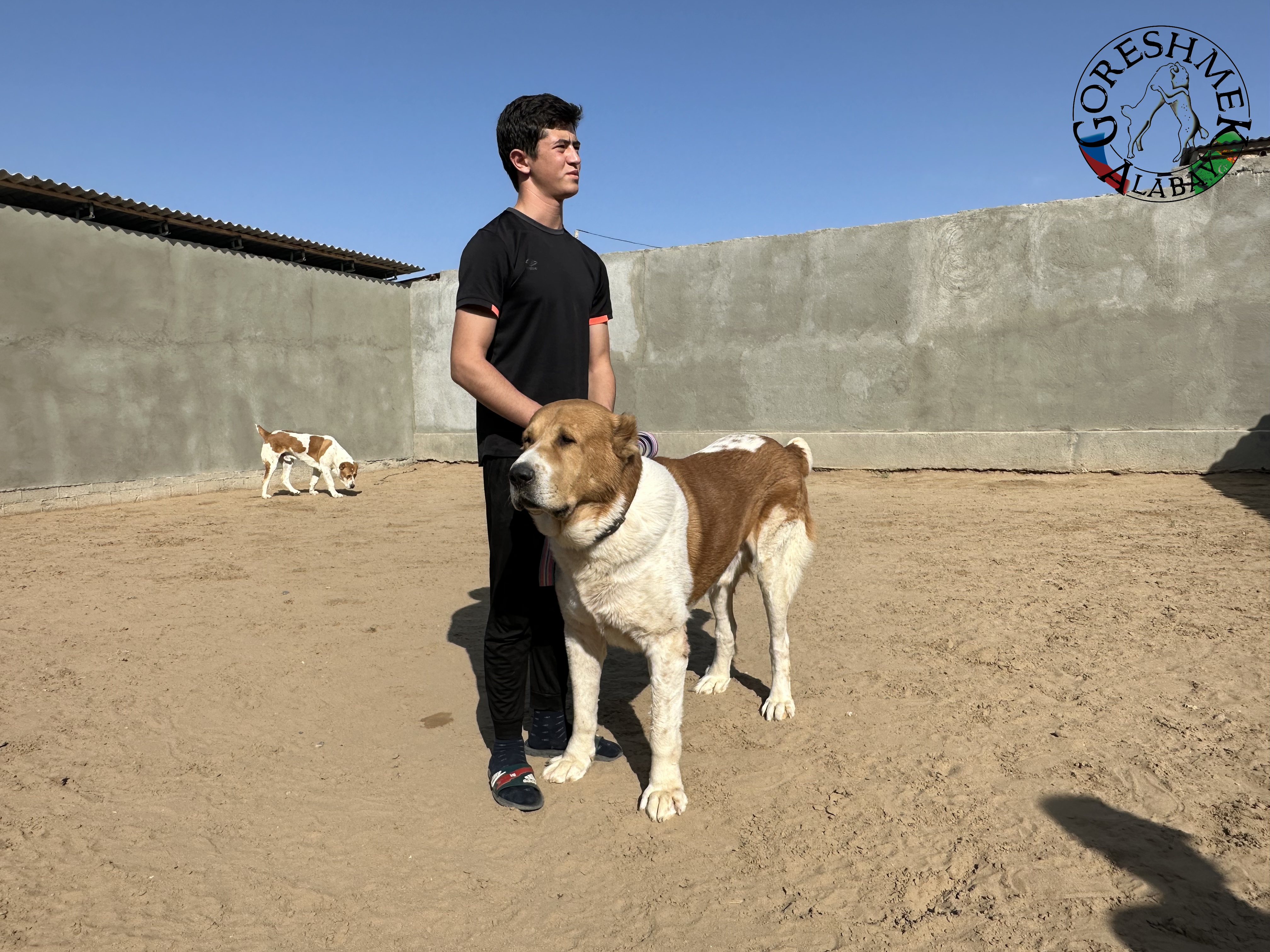 Arkadaš 5r. Gajrat x Machmal Abdulbas+Zia-Ašchabat.jpeg