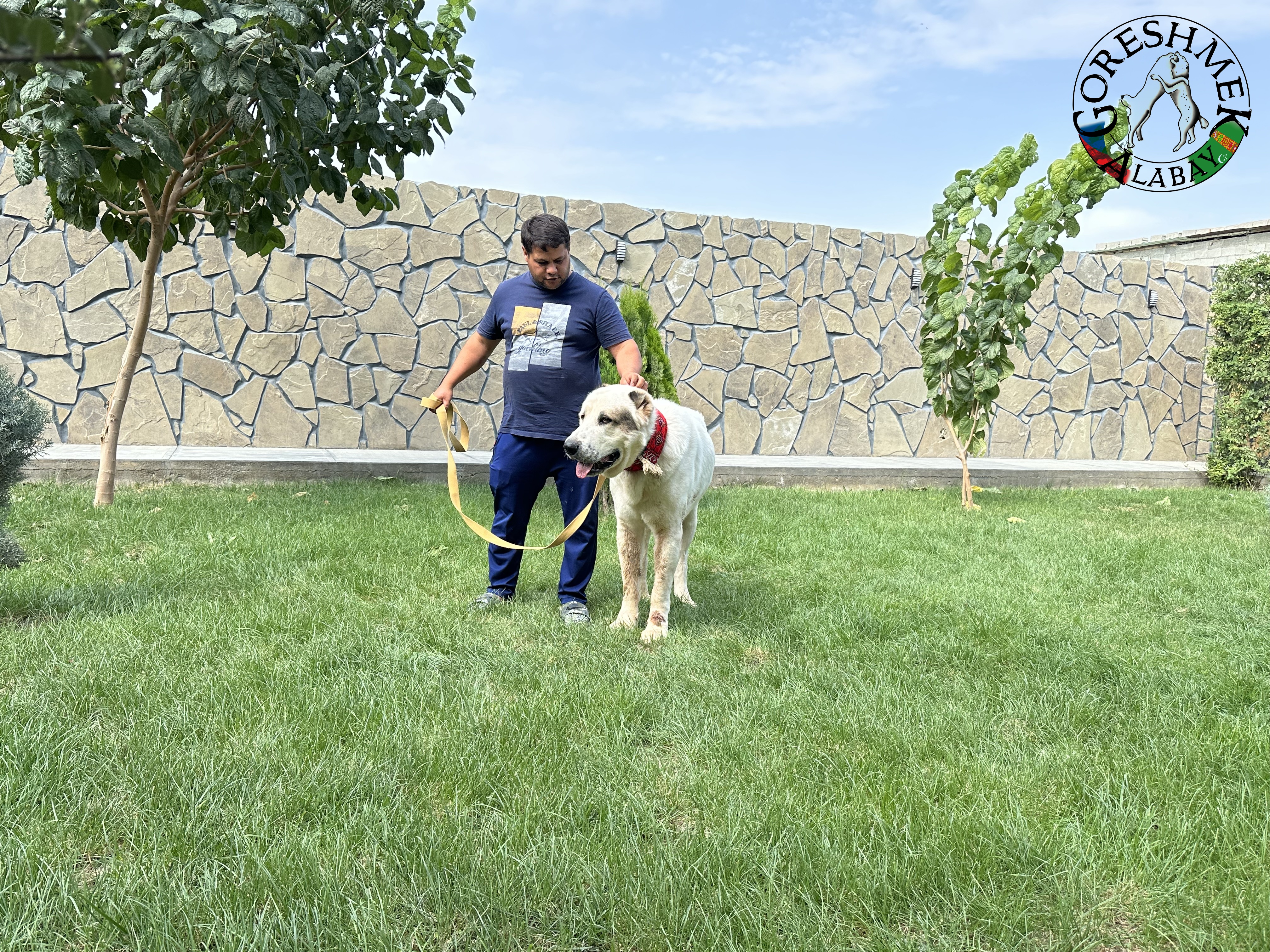 Akguš 3r. Aždar x Akar Sejinč-GݶkDepe (2).jpeg