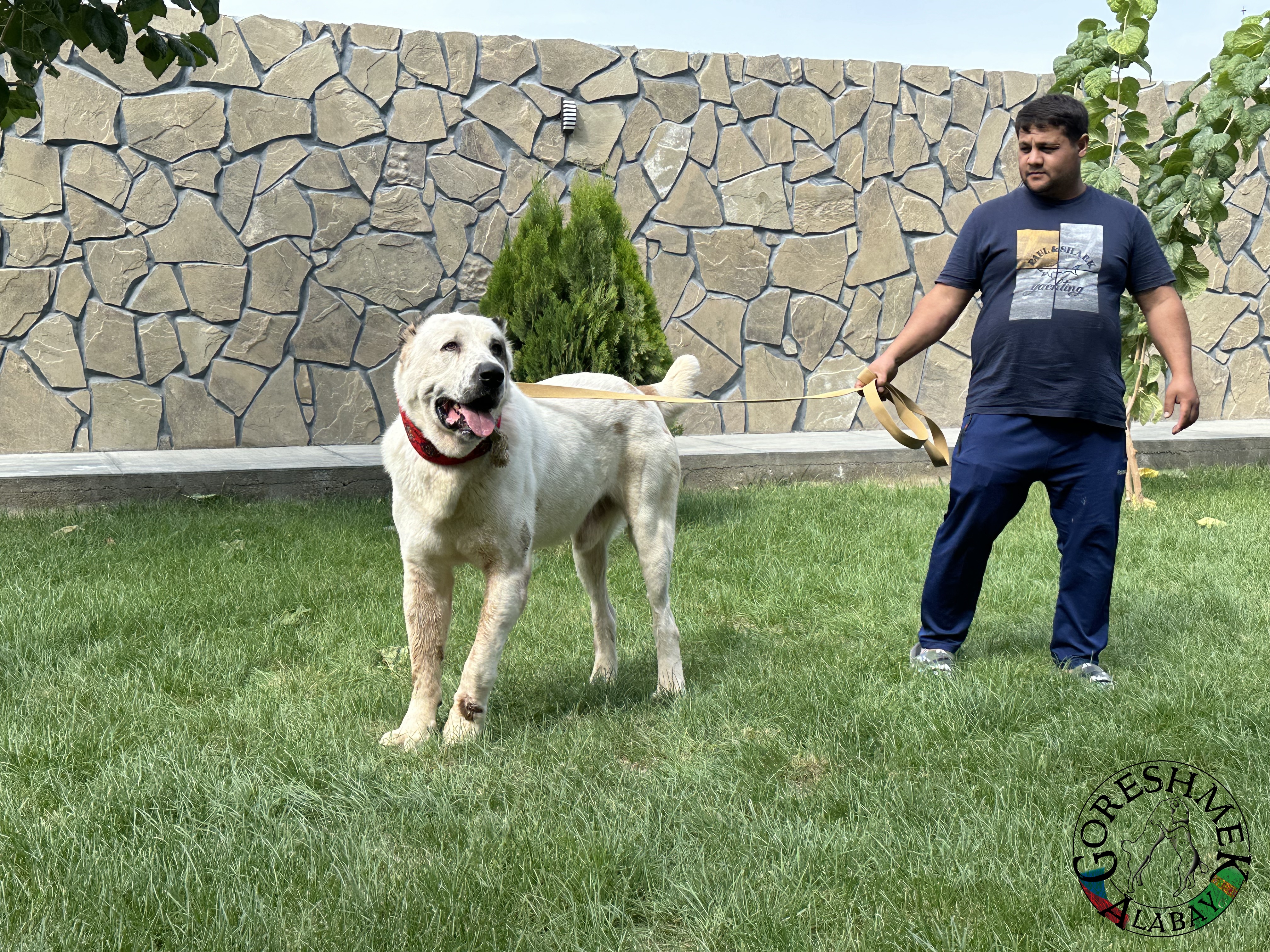 Akguš 3r. Aždar x Akar Sejinč-GݶkDepe (4).jpeg