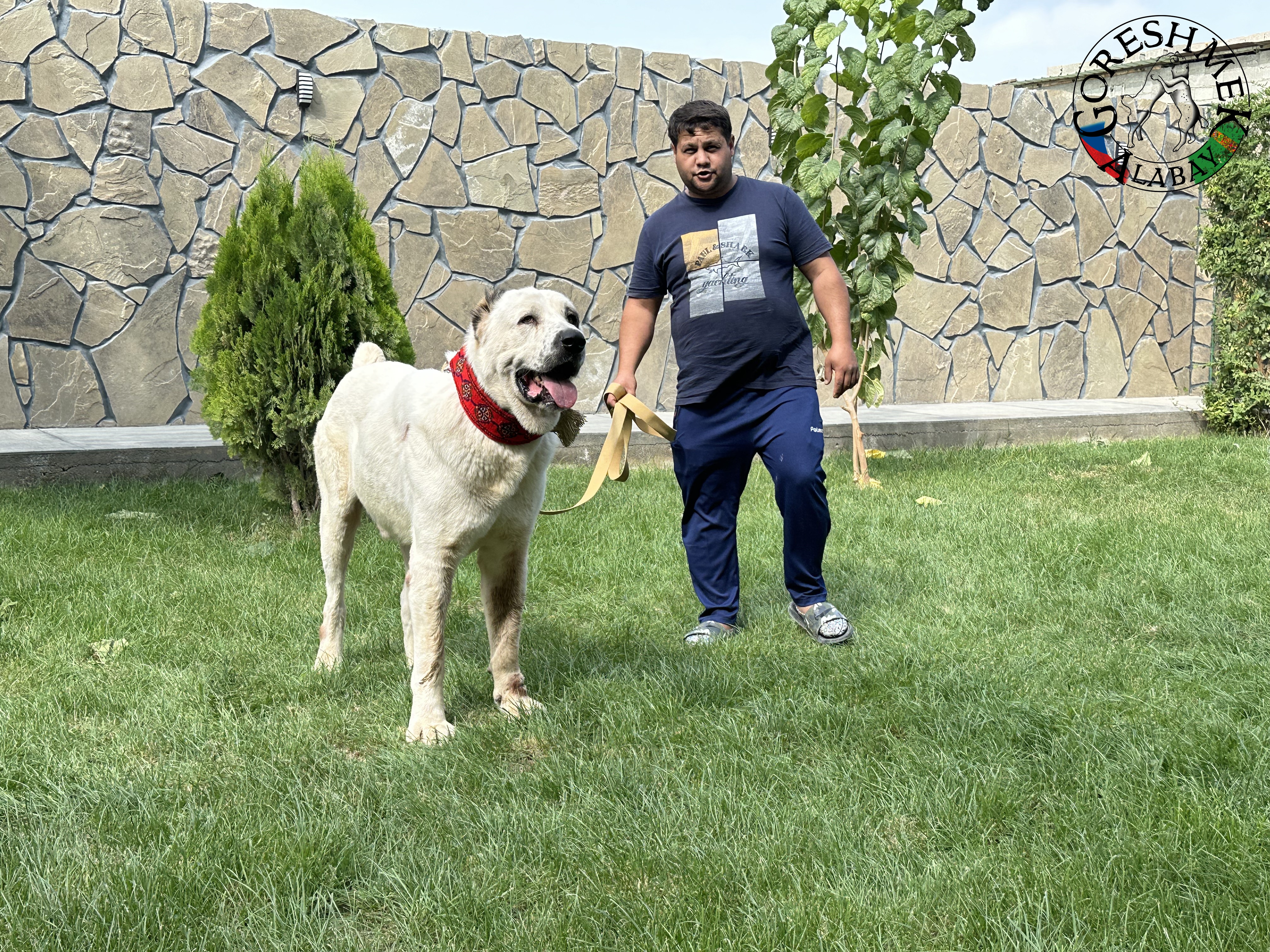 Akguš 3r. Aždar x Akar Sejinč-GݶkDepe (5).jpeg