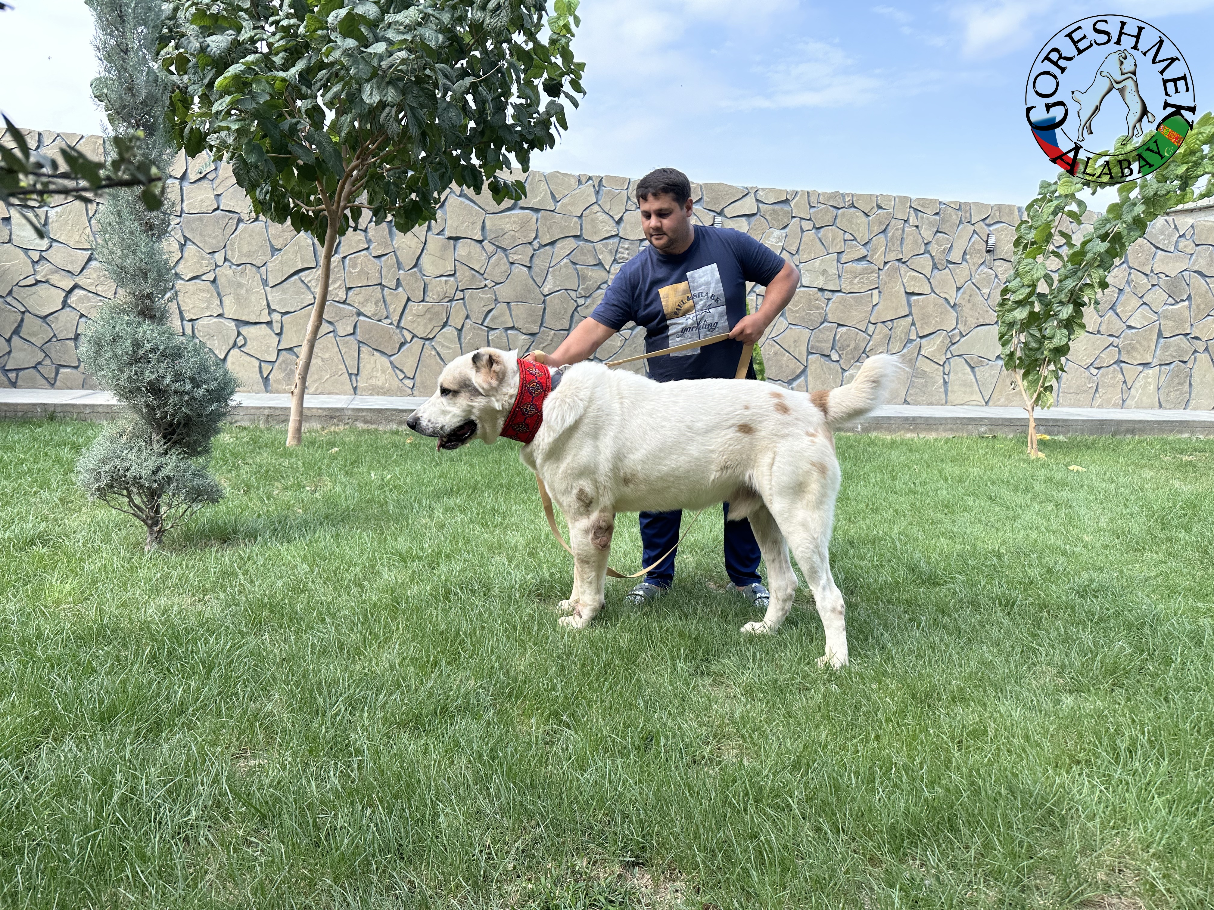 Akguš 3r. Aždar x Akar Sejinč-GݶkDepe.jpeg