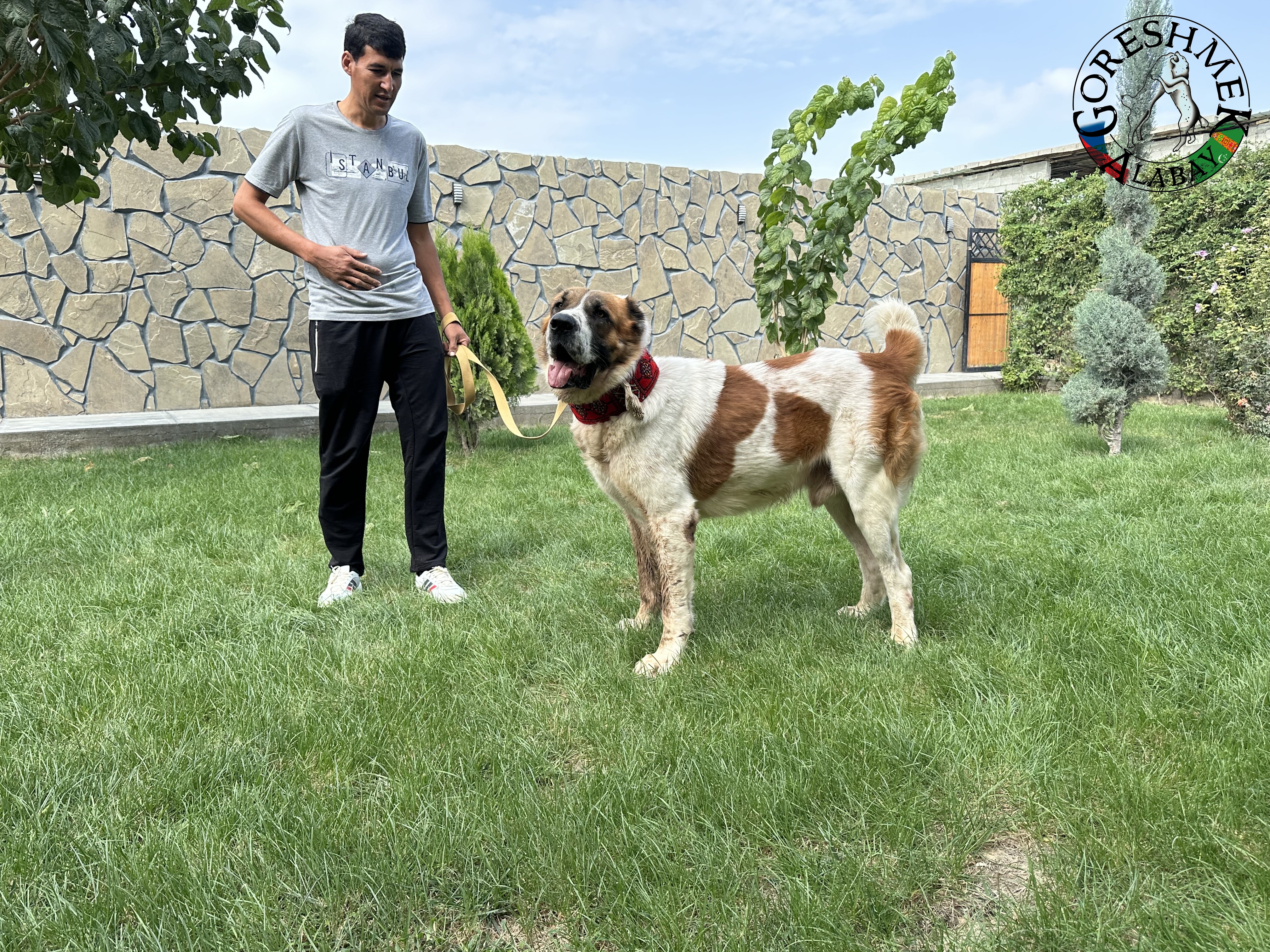 Arvana 3r. Jyldyz x Karabaš Sejinč-GݶkDepe.jpeg