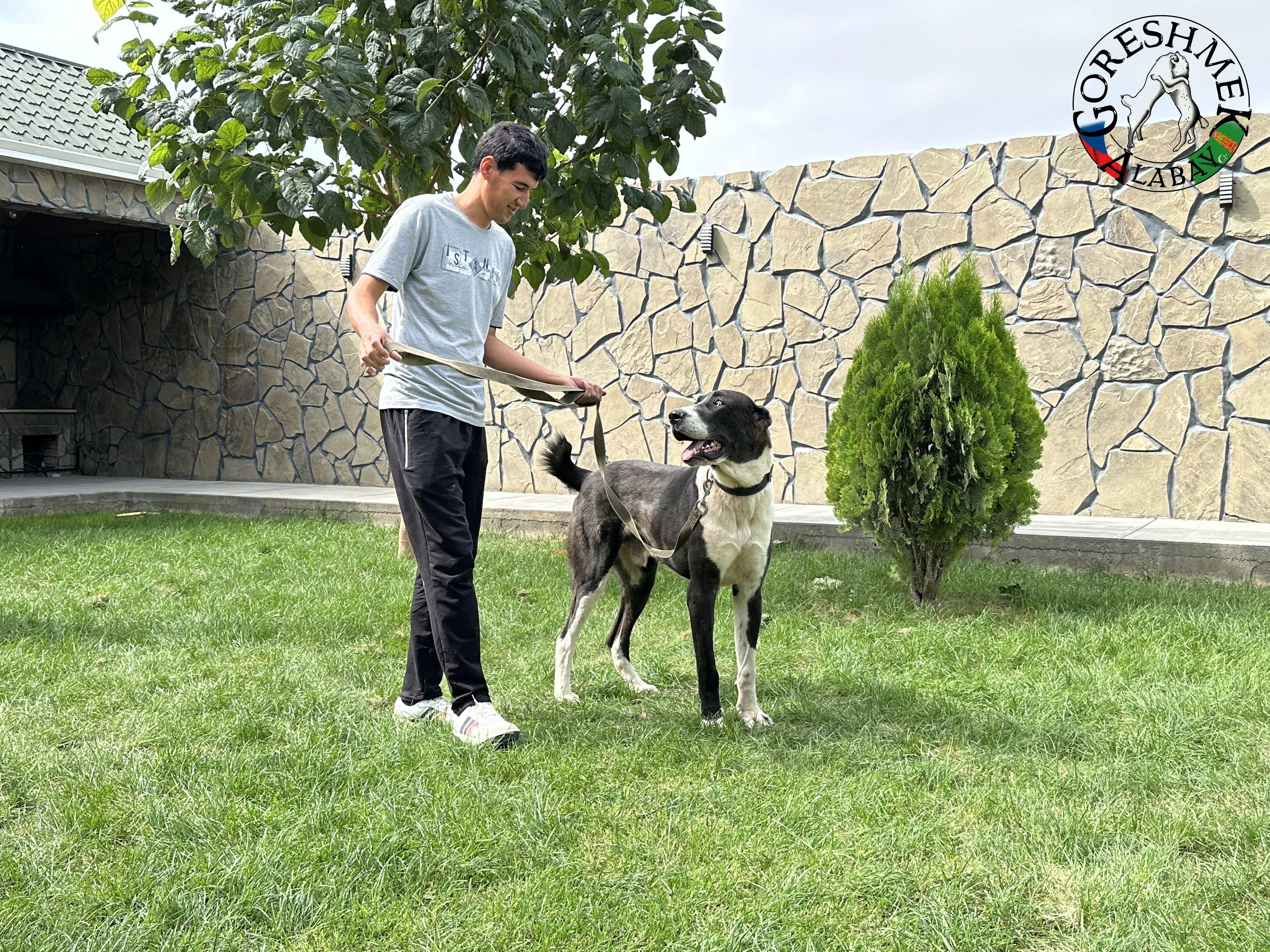 Tochmet 9m. Arvana x karagyz Sejinč- GݶDepe (2).jpeg