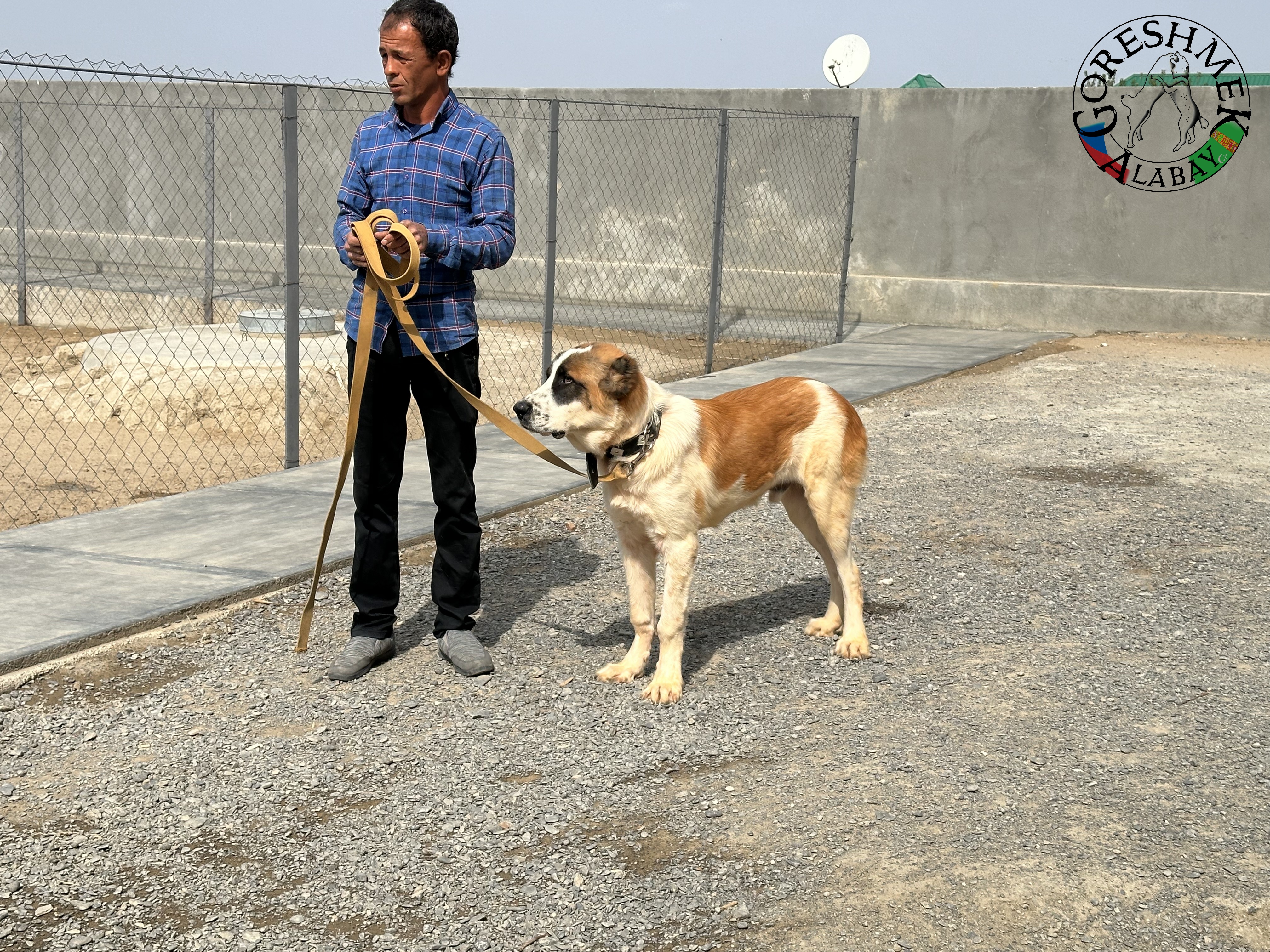 Algyr 7m. Arvana x Akča Sejinč GݶkDepe (3).jpeg