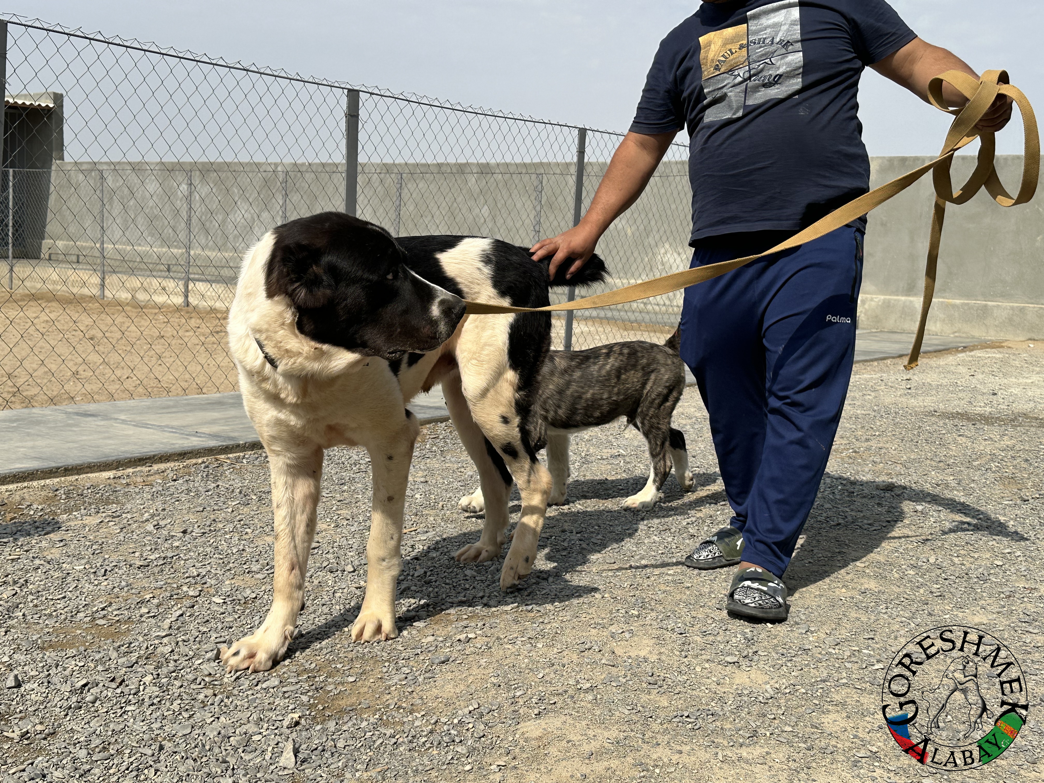 Sovgat 9m. Aždar x Nokot Sejinč-GݶkDepe (2).jpeg