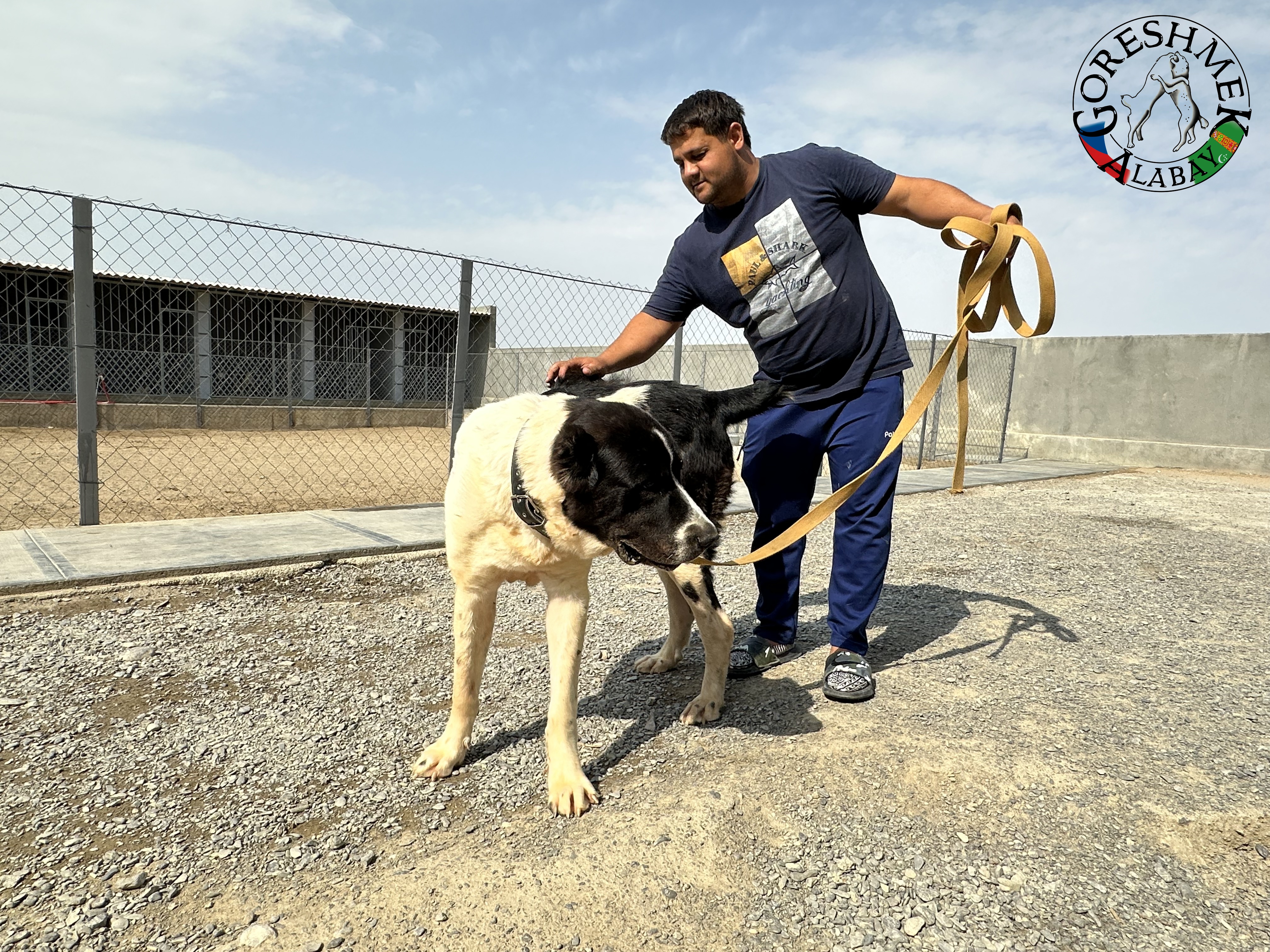 Sovgat 9m. Aždar x Nokot Sejinč-GݶkDepe (4).jpeg