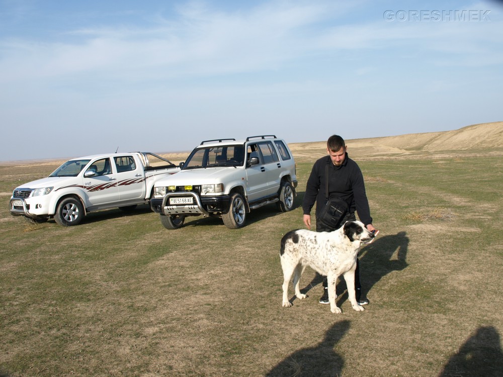 P1010432.JPG