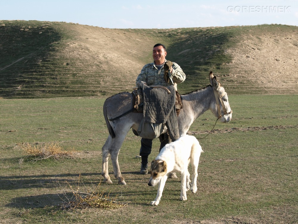 P1010433.JPG