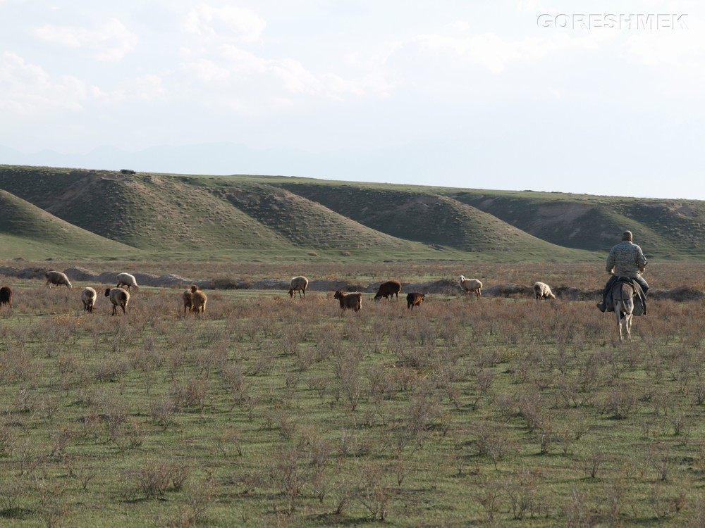 P1010457.JPG
