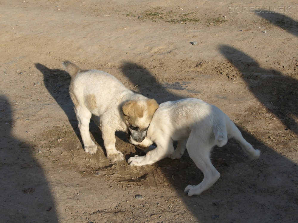P1010469.JPG
