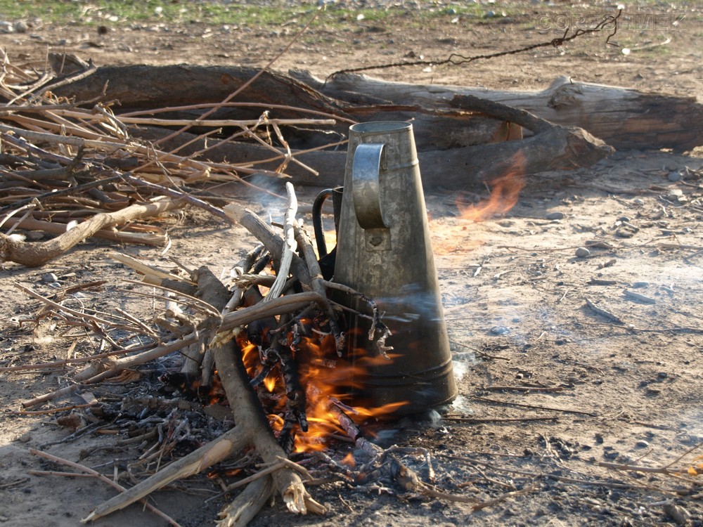 P1010483.JPG