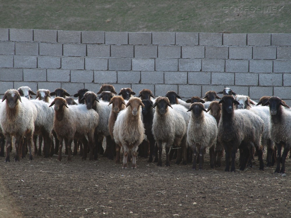 P1010487.JPG