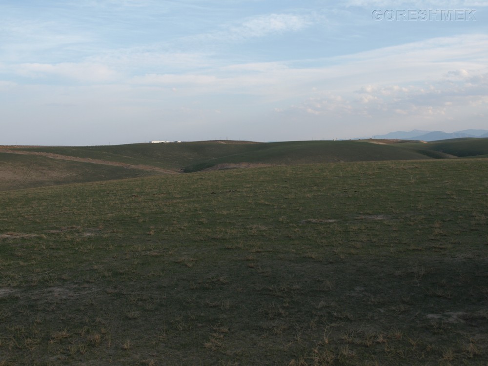 P1010511.JPG