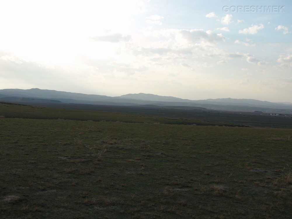 P1010515.JPG