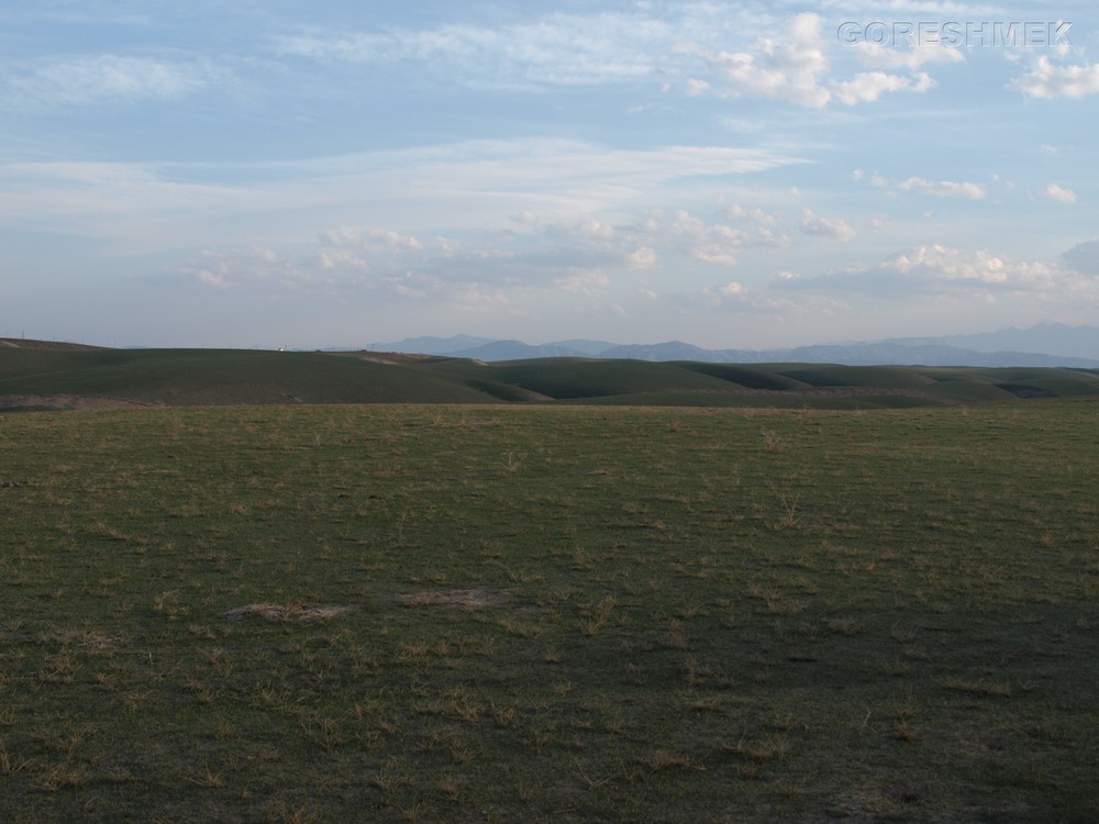 P1010519.JPG