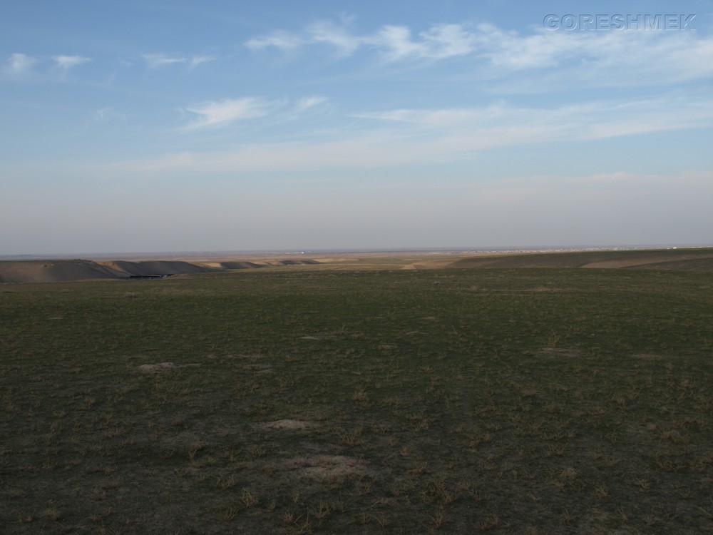 P1010523.JPG