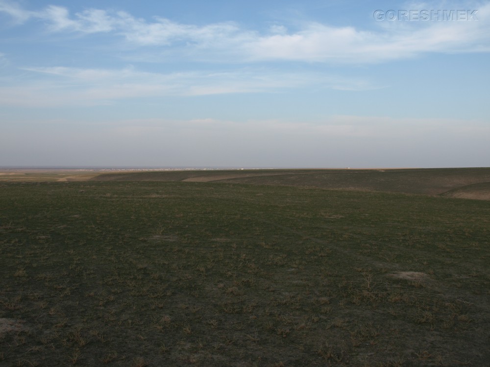 P1010524.JPG