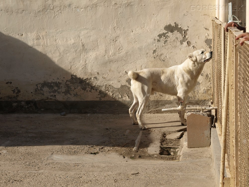 P1010844.JPG