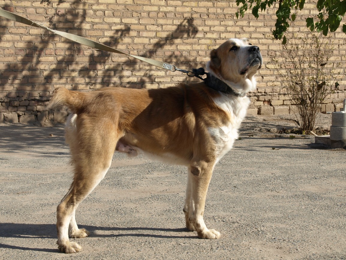 P1010723.JPG