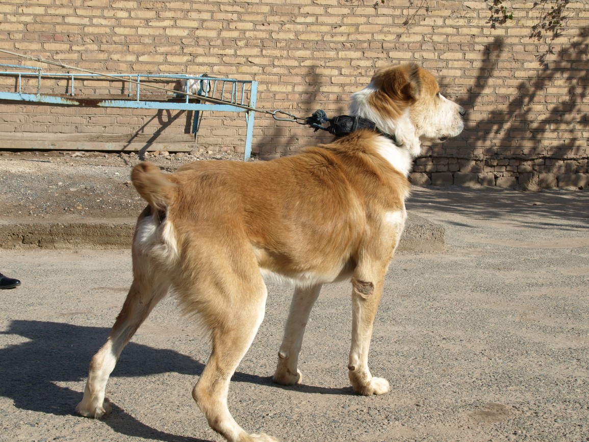 P1010744.JPG